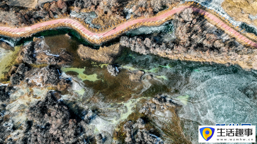冬日千姿湖 千色风景万般美(图8)