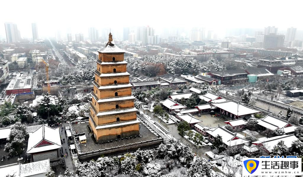 西安：大雁塔下千树白(图5)