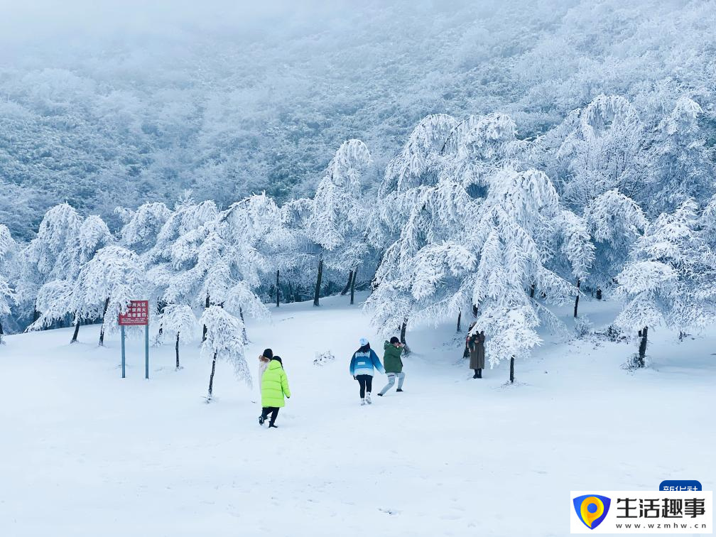 想不到！“火炉”里一年四季也端“雪饭碗”(图2)