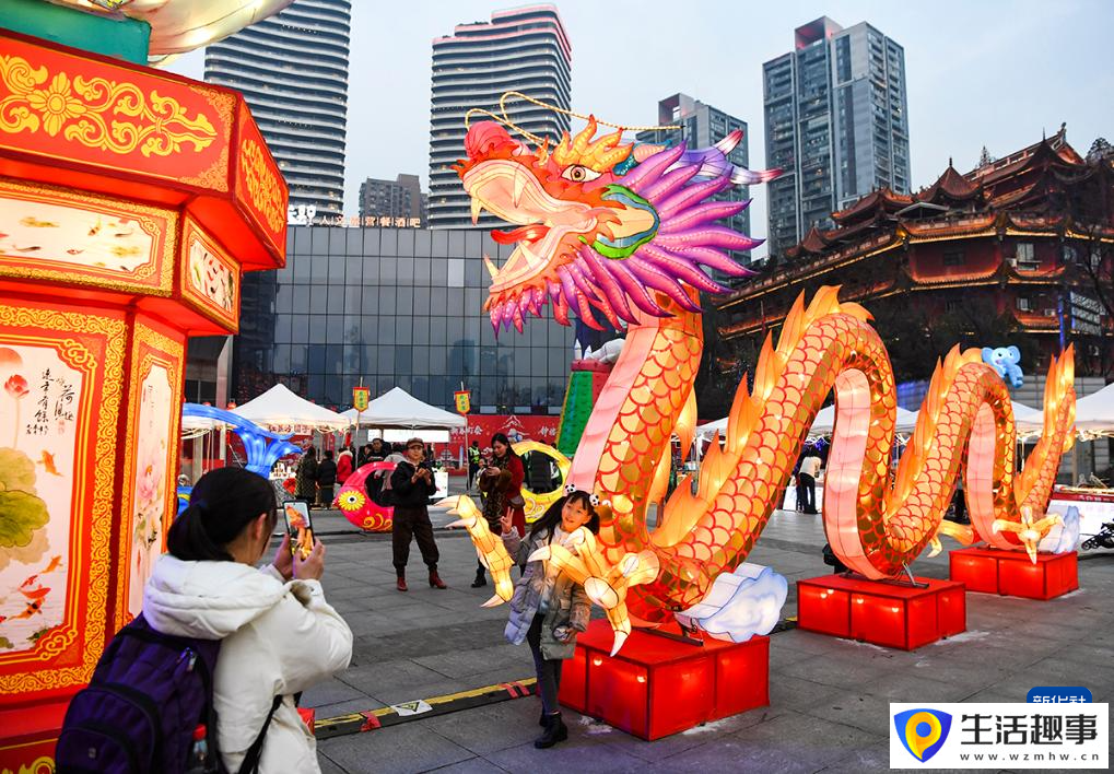 重庆：新春灯会年味浓(图3)