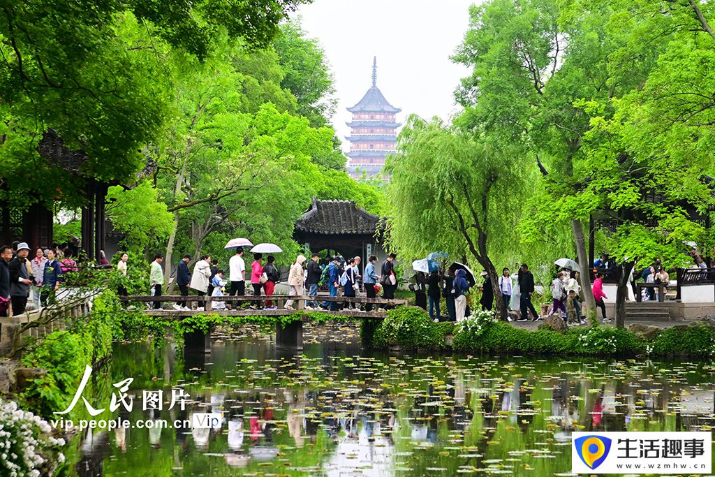 烟雨江南惹人醉(图1)