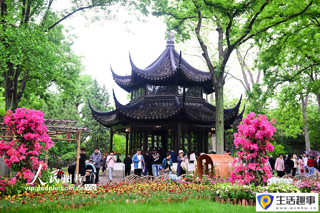 烟雨江南惹人醉(图5)