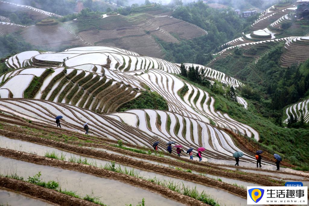 初夏梯田 景致如画(图2)