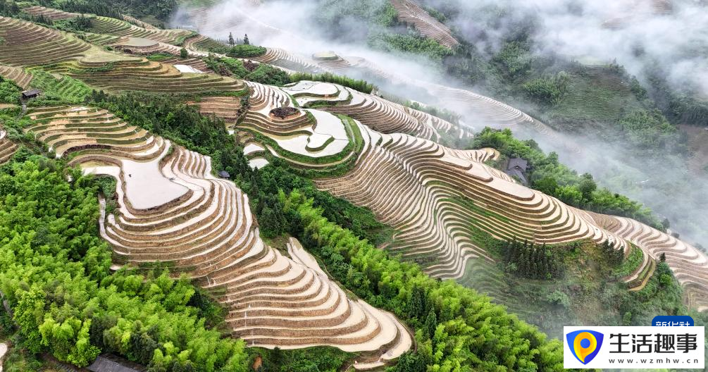 初夏梯田 景致如画(图5)