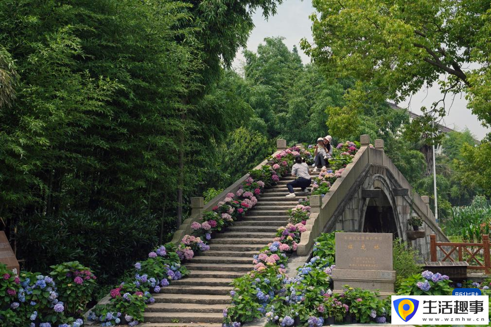 初夏上海 花“漾”乡村(图3)
