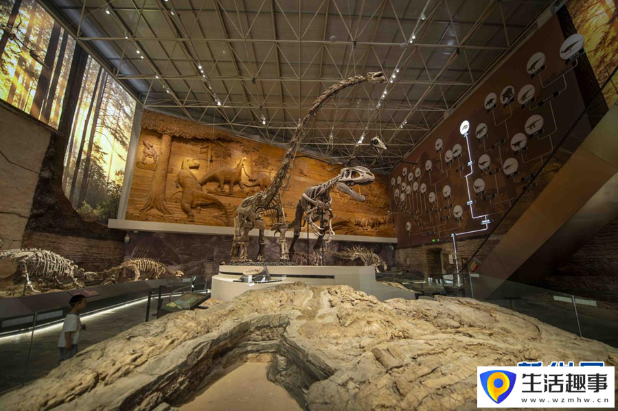 走进辽宁朝阳古生物化石博物馆(图4)