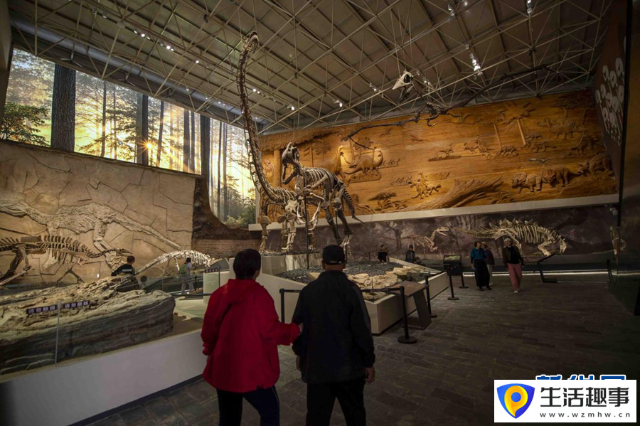 走进辽宁朝阳古生物化石博物馆(图5)