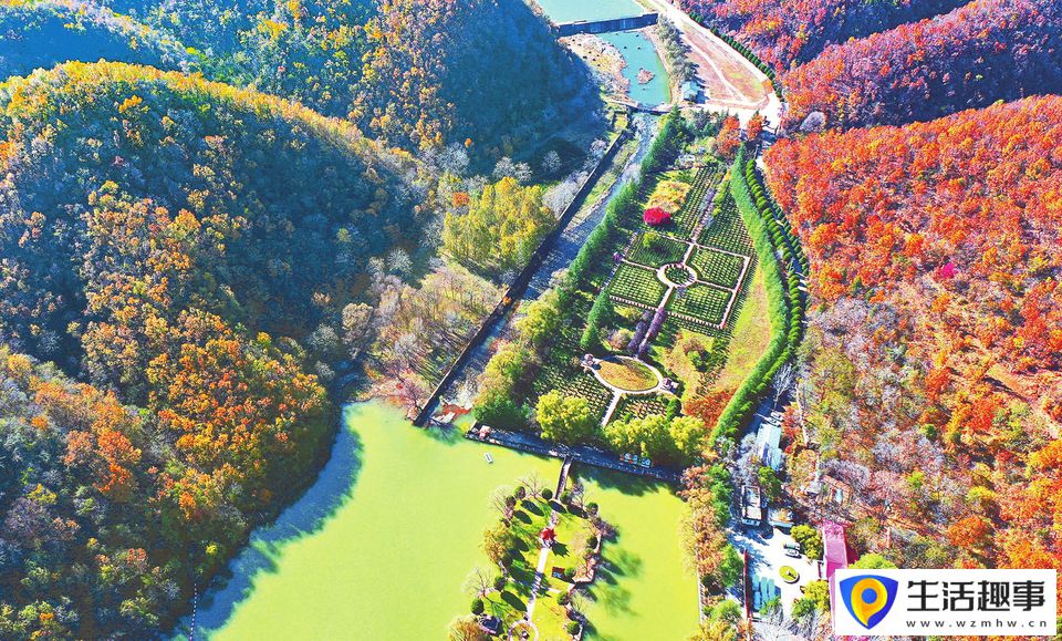 斑斓彩墨绘深秋(图1)