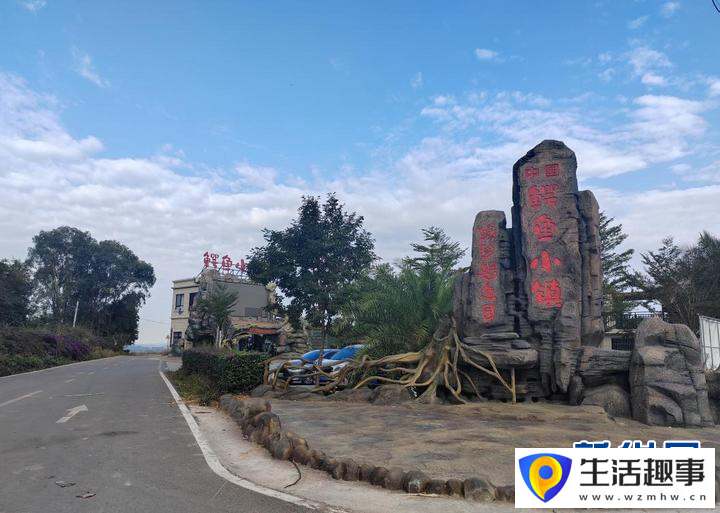 养鳄鱼、种荔枝、种凤梨……海南这些“亿元村”是怎么发展起来的？