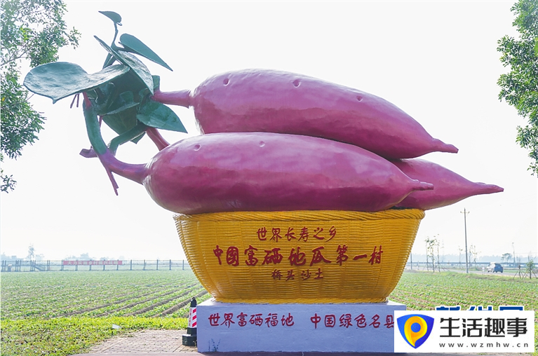 养鳄鱼、种荔枝、种凤梨……海南这些“亿元村”是怎么发展起来的?(图3) 养鳄鱼、种荔枝、种凤梨……海南这些“亿元村”是怎么发展起来的?(图3)