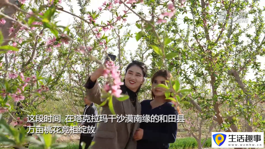 新疆以花为媒 绘旅游新图景(图2)
